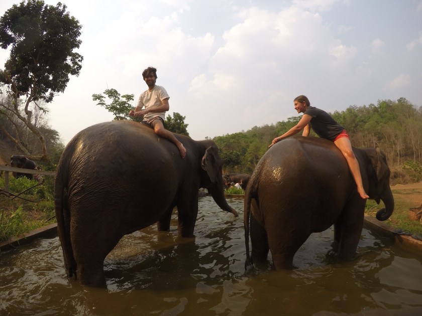 DCIM100GOPROGOPR0258.